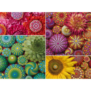 Ravensburger Color Your World Series Mandala Blooms 500 Piece Jigsaw Puzzle For Adults 80688 Handcrafted Tooling Made In G