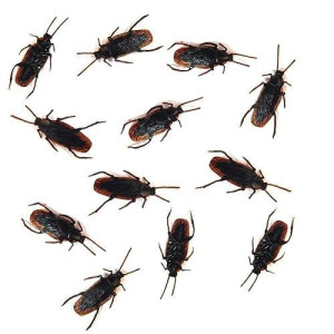 Cooplay 30Pcs - Fake Roaches Prank - Cockroach Bugs Look Real Black Red