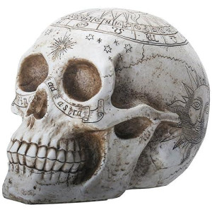 Ytc 7.75 Inch Resin Skull With Astrology Engravings, White Colored