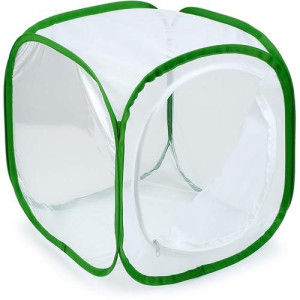 RESTCLOUD 12" Insect & Butterfly Habitat Cage - White/Green