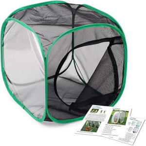 RESTCLOUD 12" Insect & Butterfly Habitat Cage - Black/Green