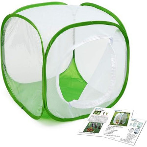 Insect And Butterfly Habitat Cage Terrarium Pop-Up 12 X 12 X 12 Inches, Polyester Bottom For Easier Clean