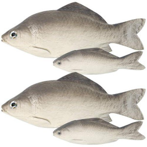 Bigotters 4Pcs Fake Fish, Artificial Sea Fish Realistic Fish Playset Model Food Display Kids Favor Toy Kitchen Decor Photography Props