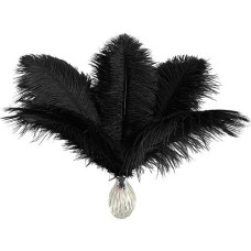 Piokio 10 pcs Black Ostrich Feathers for DIY Decor