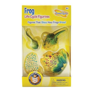 Insect Lore Frog Life Cycle Stages - Multi Color Educational Kit