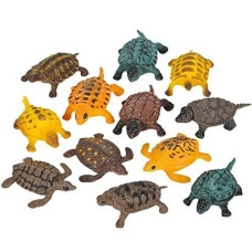 Rhode Island Novelty Turtles, Assorted Colors, 12 Pack