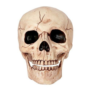 Crazy Bonez Skeleton Skull