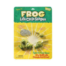 Frog Life Cycle Stages [Set Of 3]