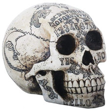 Summit Collection Paranormal Skull Head With Ouija Symbols Collectible Figurine