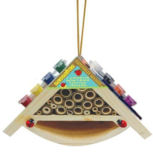 Sassafras Paint Your Own- Ladybug House