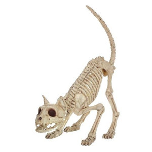 Crazy Bonez Skeleton Cat - Lil' Kitty Bonez