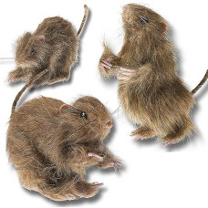 Prextex Realistic Furry Fake Rats For Best Halloween Decoration: Halloween Fake Rats, Realistic Rats, Halloween Trick Toys Decoration, Party Props Etc.