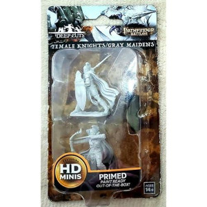 WizKids Pathfinder Miniatures: Wave 6 Female Knights Gray