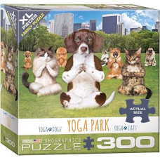 Yoga Park Puzzle