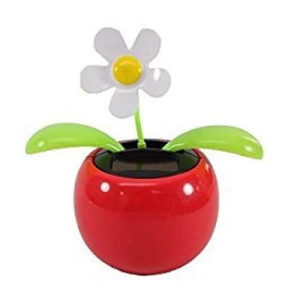 Navillus Solar Powered Dancing Flower, Lily, Rose, Sunflower, Petunia Office Desk & Car Decor (White Daisy Red Pot)