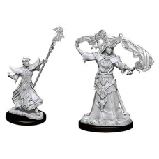 Wizkids Pathfinder Deep Cuts Unpainted Miniatures: Wave 11: Male Human Sorcerer