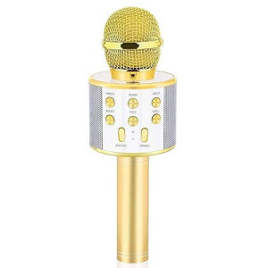 Dodosky Gold Handheld Karaoke Microphone for Kids 4-13 Years