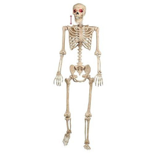 Crazy Bonez Talking Pose-N-Stay Skeleton