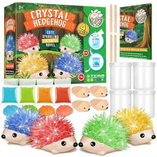 XXTOYS Crystal Growing Kit - 4 Color Hedgehogs for Kids