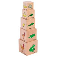 The Freckled Frog Life Cycle Wooden Blocks - Set Of 5 - Ages 1+ - Science Toys For Toddlers - Explore 5 Stages Of The Moth, Butterfly, Chicken, Frog