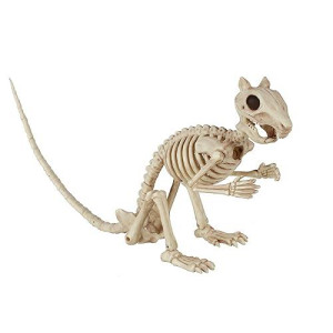 Crazy Bonez Skeleton Squirrel