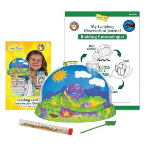 Insect Lore Live Ladybug Growing Kit | Ladybug Land Habitat | 10-15 Live Pink Spotted Ladybug Larvae Included