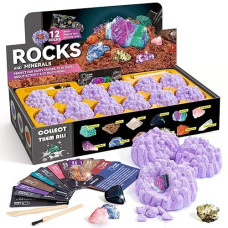 Byncceh Mineral Mining Kit Rock Mining Kit Gem Dig Kit - Dig Up 12 Rock & Mineral Collection Gemstones & Crystals Dig Kit For Kids Gemology Mining Gift Rocks Minerals, Excavation Toys For Boys Girls