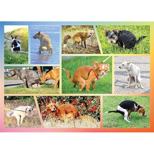 Pooping Dogs 100-Piece Puzzle For Kids - Funny Pooping Puppies Jigsaw Puzzle, Great Gift For Dog Lovers & Puppy Owners (100 Large Pieces)