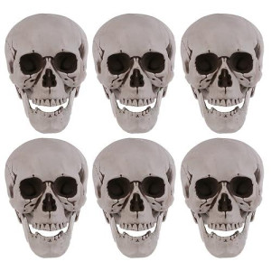 Amosfun 6Pcs Halloween Skeletons Plastic Realistic Human Skull Head Bone Model Ghost House Props Halloween Party Supplies