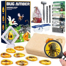 Amber Dig Kit - Insects In Resin, 8 Insects Specimens Excavation Kit, Gemstone Bugs For Kids, Fossil Bug Toys Dig Kits For Bugs Collection, Insect Toys For Boys Girls 6 And Up Year Old Birthday Gifts