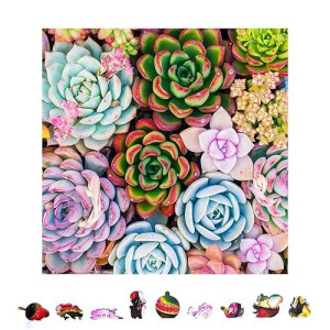 Zenchalet Succulent Sensation Wood Jigsaw Puzzles 1000 Pieces | For Improved Mood And Concentration