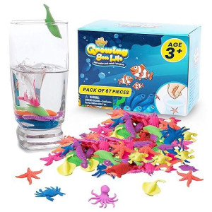 Ipidipi Toys Water Growing Sea Creatures Toys For Kids - 67 Pack Growing Animals In Water - Ocean Themed Under The Sea Party Favors, Birthday Goodie Bag Fillers, Piñata Stuffers, School Prize Box Toys