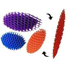 Fidget Toys ， Fidget Worm Toy,Stress Relief Fidget Toys For Kids&Adults,Elastic Mesh Toys,Sensory Slug Fidget Toy,Resistance Fidget Toys,Anxiety Relief Toys (Purple+Blue+Orange)