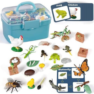 Life Cycle Learning Toys For Kids: Life Science Education Kits With Butterfly, Frog, Chicken, Mantis, Bee, Plants - 25 Pieces Animal Figurines Montessori Toys For Children Age 3 4 5 6 7 8+