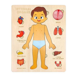 Wooden Body Puzzles For Kids, Toddler Montessori 14 Pieces Boy Anatomy Puzzle, Human Body Learning Toy With Internal Organs Early Stem Educational Toy For Boys And Girls Ages 3 4 5 6 Years Old