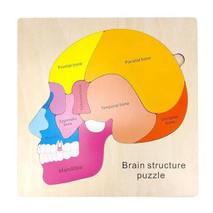 Wooden Brain Anatomy Puzzles For Kids, Toddler Montessori 16 Pieces Brain Structure Puzzle, 3-Layer Human Brain Parts Learning Early Stem Educational Toy For Boys And Girls Ages 3 4 5 6 Years Old