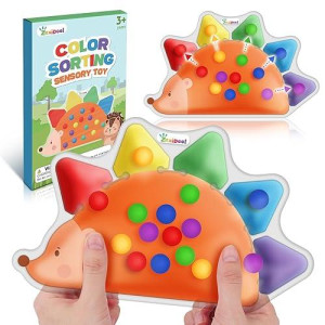 Color Sorting Toys Sensory Toys : Fine Motor Skill Games Learning Toys For Toddlers, Color Matching Preschool Activities Educational Calm Down Toys Montessori Toys For Kids Boys Girls Gifts Ages 3+