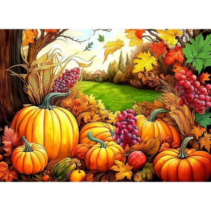 Springbok'S Fall Harvest Celebrates The Color And Bounty Of The Fall In This 500 Piece Puzzle For Adults And Families