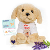 infloatables ThermaPals - Microwavable Weighted Stuffed Animals Stuffed Dog - Puppy Stuffed Animal - cute Heating Pad - Heating Pad Stuffed Animal - Lavender Scented 83inch (115lb)