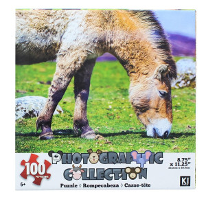 croJack capital Inc Donkey 100 Piece Photographic collection Jigsaw Puzzle