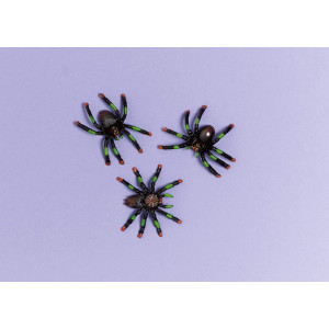 Halloween Assorted Plastic Spider