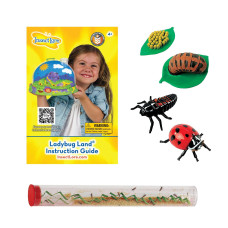 Insect Lore Live Baby Ladybug Larvae Ladybug Growing Kit Refill With Ladybug Life Cycle Toy Figurines Ship Now