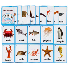 20Pcsset Sea Animals Kids Gifts English Flash Cards Pocket Card Educational Learning Baby Toys For Children Prekindergarten