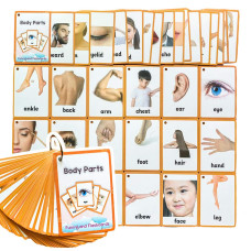 34Pcsset Body Parts Kids Gifts English Flash Cards Pocket Card Educational Learning Baby Toys For Children Prekindergarten