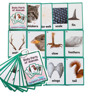 12Pcsset Animals Body Parts Kids Gifts English Flash Cards Pocket Card Educational Learning Baby Toys For Children Prekinderga