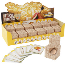 Dig A Dozen Fossil Bricks Break Open 12 Bricks And Discover 12 Unique Real Fossils Archaeology Science Stem Easter Gift