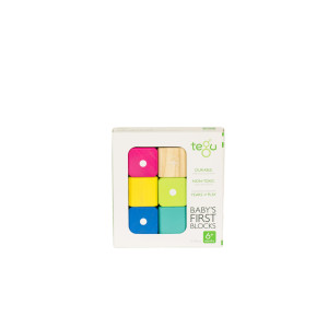 Tegu 6 Piece Magnetic Babys First Building Blocks Tints