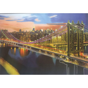 1000Piece Steve Kaufman Collectionbrooklyn Bridge