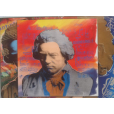 1000Piece Steve Kaufman Collectionbeethoven