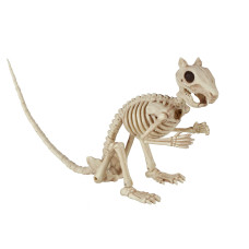 Crazy Bonez Skeleton Squirrel